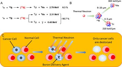 Frontiers | Boron Neutron Capture Therapy: Current Status And Challenges